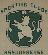 Sporting Clube Assumarense t-shirt 2011