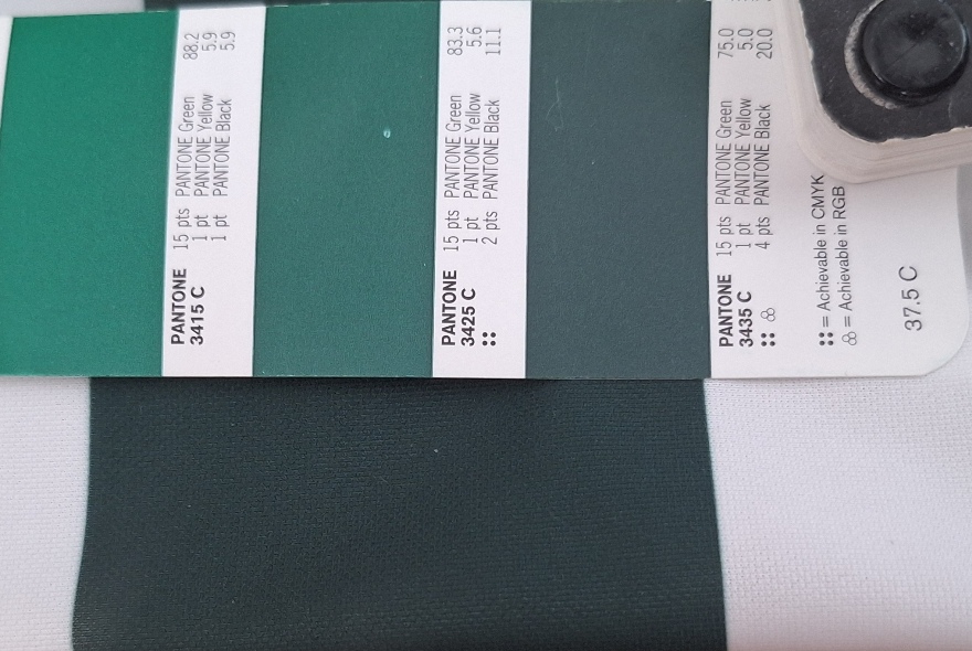 pantones 3435C