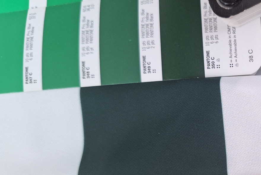 pantones 350C