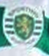 SCP_0910_vitalisfake logo