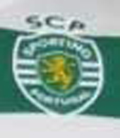 camisola falsa do Sporting 2011/12 shirt