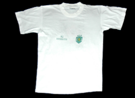 Camisola usada por um nadador da natao do Sporting na festa final da temporada 2001/2002