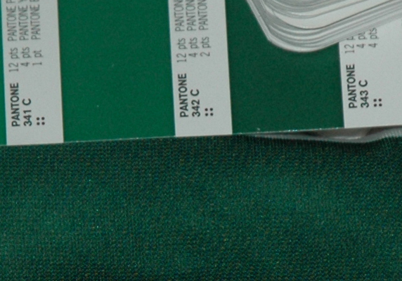 verde Sporting 2004 05 Pantone 343c