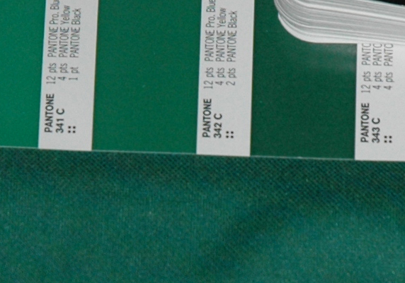 verde Sporting 2007 08 Pantone 343c