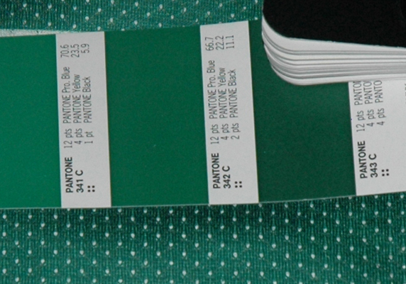 verde Sporting Pantone 343c 2008 2009